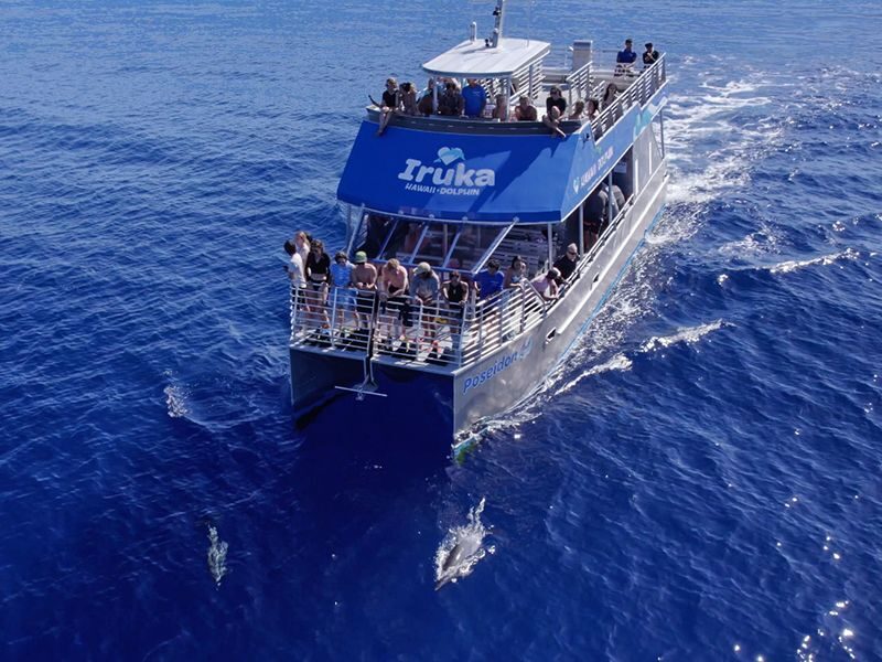 Dolphin Watching and Snorkel with Water Activities in Oahu - Key things to know before you book