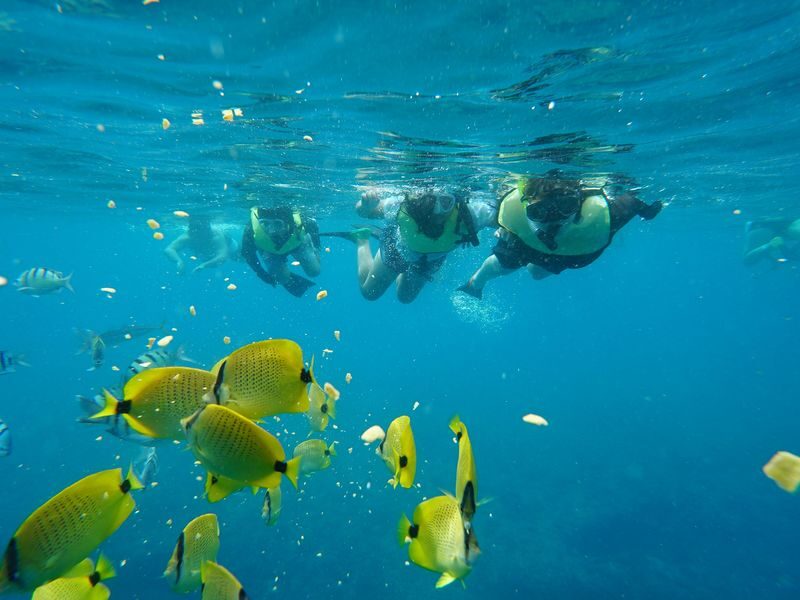 Dolphin Watching and Snorkel with Water Activities in Oahu - A catamaran with more than one way to get wet