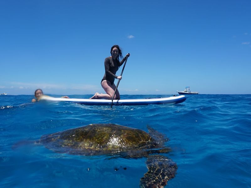 Dolphin Watching and Snorkel with Water Activities in Oahu - Lunch, language, and crew support