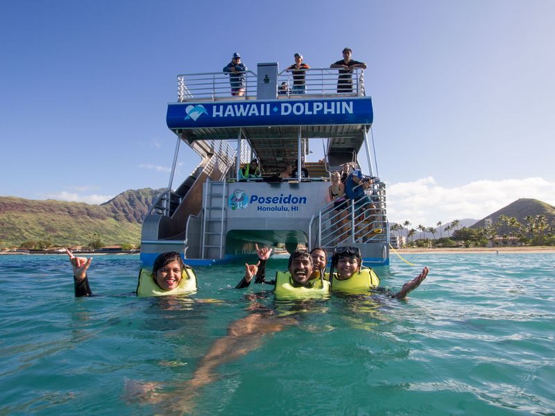 Dolphin Watching and Snorkel with Water Activities in Oahu - Is the price worth it?