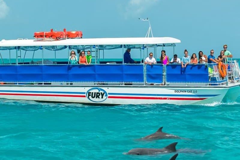 Dolphin Watching and Snorkeling Experience in Key West - The useful details at a glance