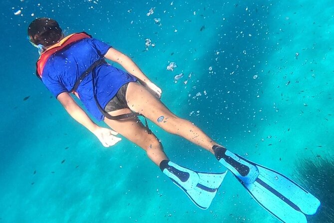 Dolphin Watching and Snorkeling in Figarolo in Sardinia - Snorkeling Equipment and Refreshments
