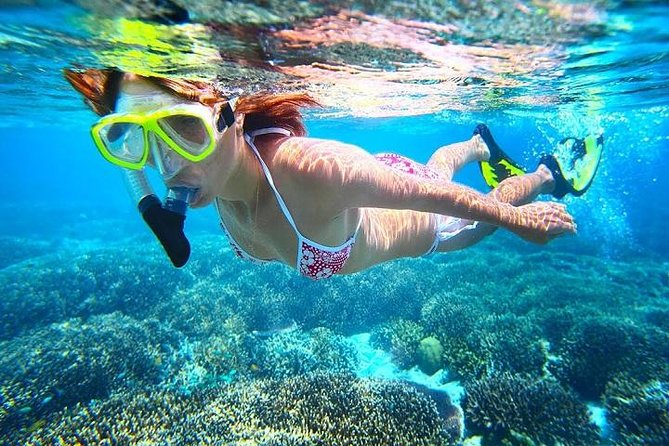 Dolphin Watching and Snorkeling Tour From Muscat - Inclusions and Itinerary Details