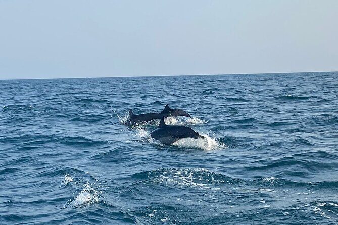 Dolphin Watching and Village Tour 3 Days Experience - Good To Know