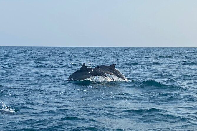 Dolphin Watching and Village Tour 3 Days Experience - Exploring the Itinerary in Detail