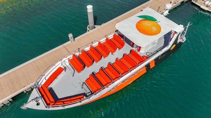 DOLPHIN WATCHING & BENAGIL CAVE TOUR FROM LAGOS - DUAL TRIP - An Adventure on the Water in the Algarve