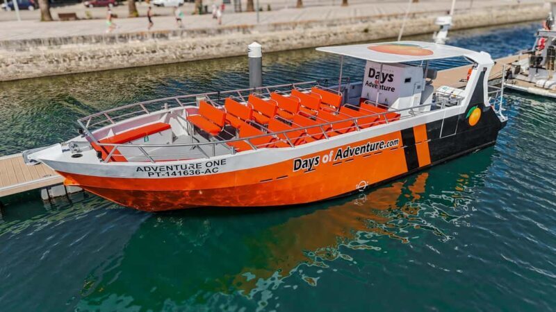 DOLPHIN WATCHING & BENAGIL CAVE TOUR FROM LAGOS - DUAL TRIP - The Value of This Experience