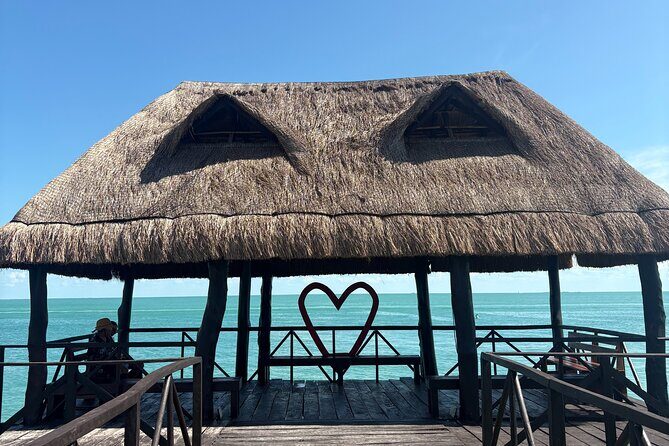 Dolphin watching by private boat from Isla Aguada - Dolphin Watching by Private Boat from Isla Aguada: A Detailed Review