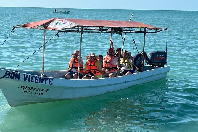 Dolphin watching by private boat from Isla Aguada - Final Thoughts