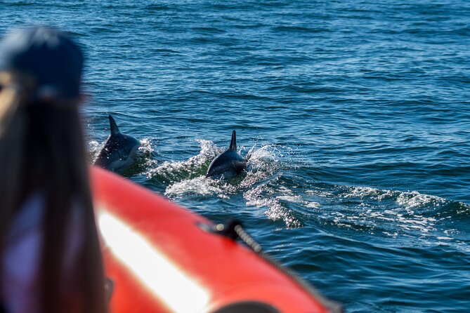 Dolphin Watching Cascais - Safety Equipment and Life Vests