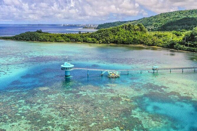 Dolphin Watching Cruise with Underwater Observatory Viewing - Final Thoughts: Is It Worth It?