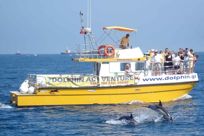 Dolphin Watching Excursion in Gibraltar - Excursion Details