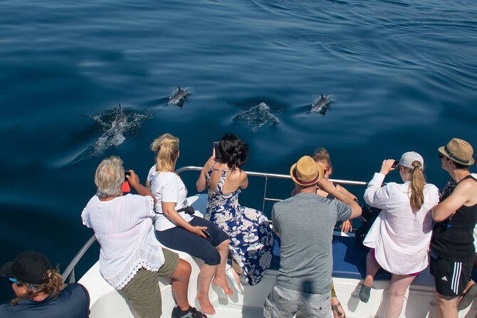 Dolphin Watching Half-Day Cruise From Lagos - Overview and Experience