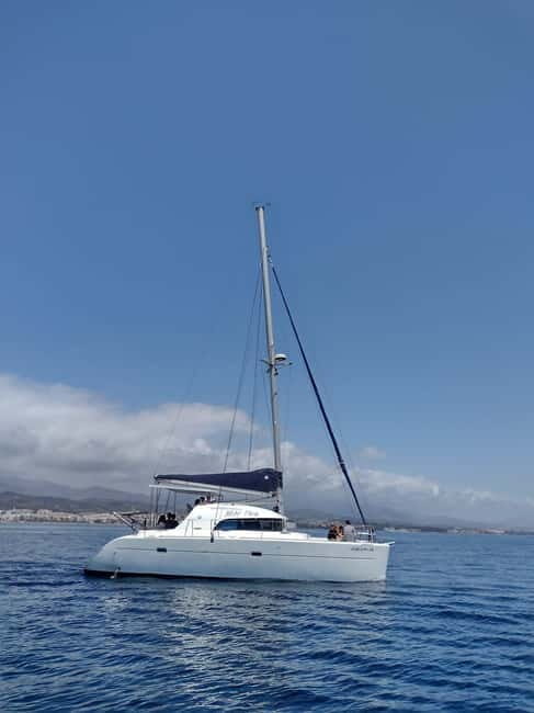 Dolphin watching in Estepona - Who Should Consider This Tour?