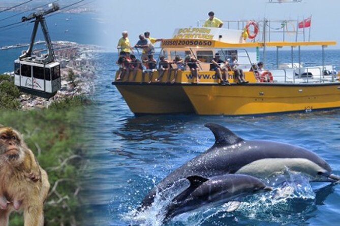 Dolphin Watching in Gibraltar & Fast Track Priority Cable Car - Tour Highlights