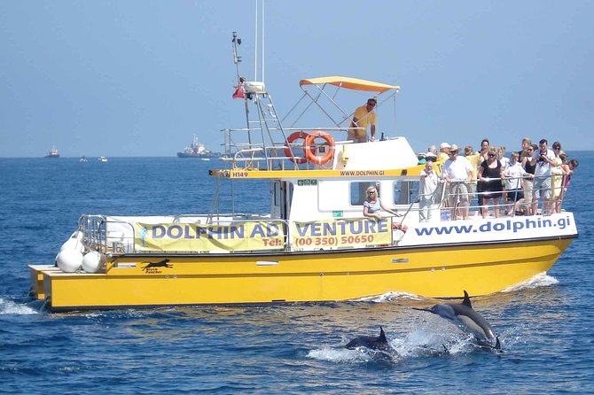 Dolphin Watching in Gibraltar & Fast Track Priority Cable Car - Customer Reviews and Ratings