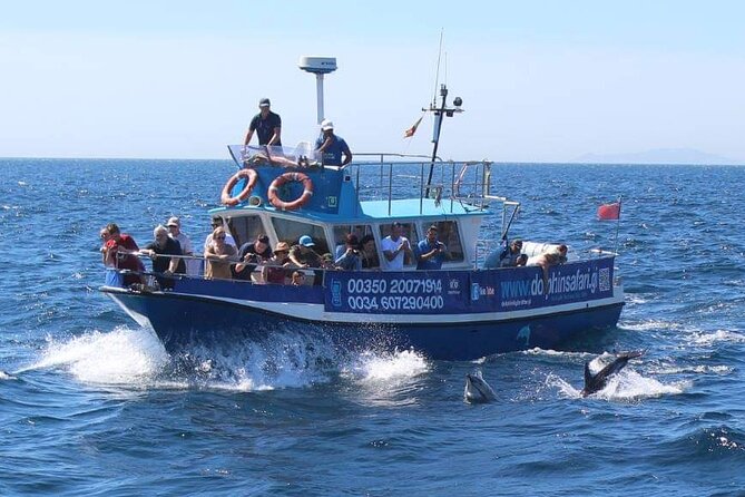 Dolphin Watching in Gibraltar With the Blue Boat Dolphin Safari - Reviews