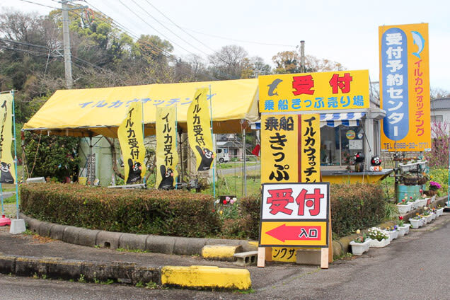 Dolphin Watching in Kumamoto - Who should book this trip?