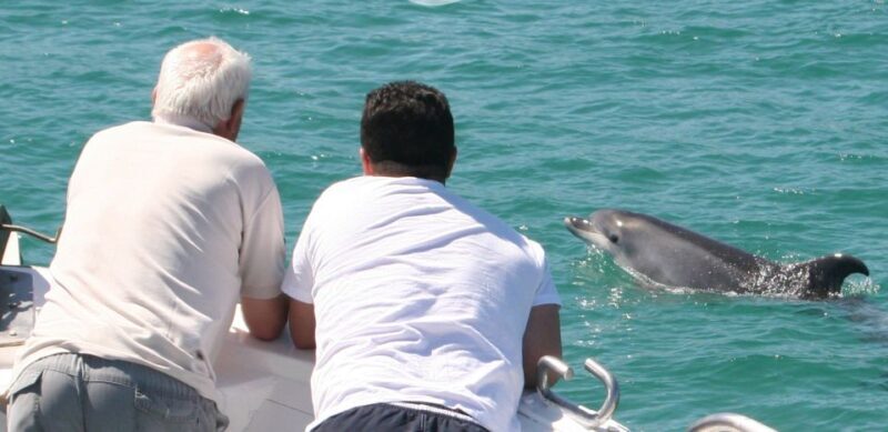 Dolphin Watching in the Wild - Half Day Tour - How This Tour Fits Different Travel Styles