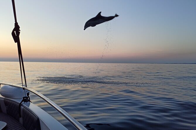 Dolphin Watching Sunset Speedboat Tour with Drinks in Rovinj - FAQ
