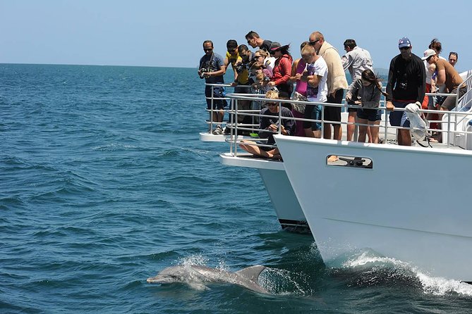 Dolphin Watching Sydney Tours Port Stephens Private Tour - Cancellation Policy