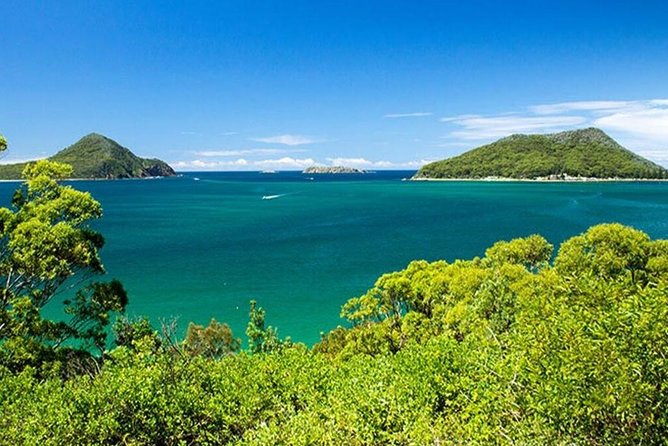 Dolphin Watching Sydney Tours Port Stephens Private Tour - The Sum Up