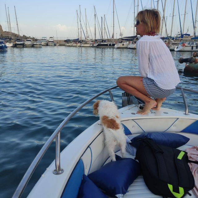 DOLPHIN WATCHING - Activity Details
