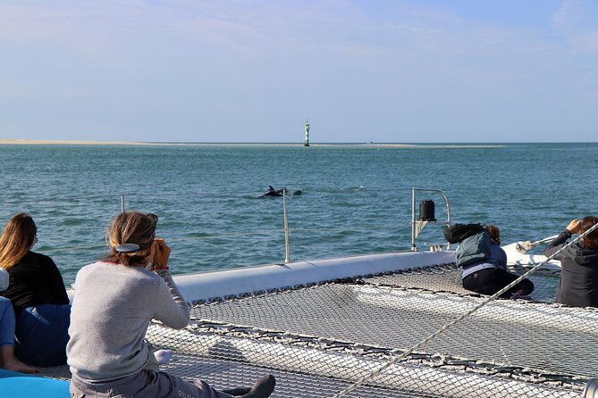 Dolphin Watching Tour by Catamaran From Lisbon - Common Questions