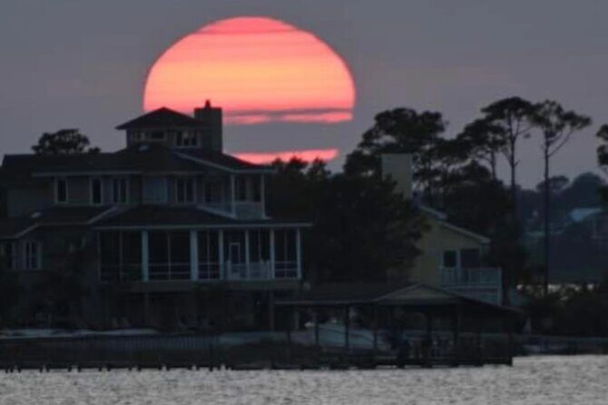 Dolphin Watching Tour in Orange Beach - Authentic Experiences from Reviewers