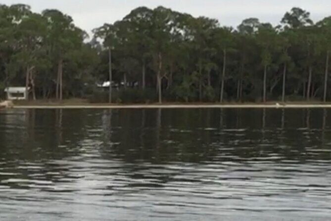 Dolphin Watching Tour in Orange Beach - Pricing and Value