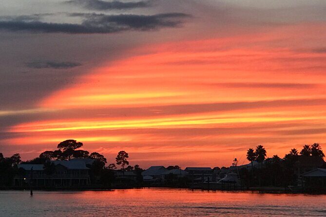 Dolphin Watching Tour in Orange Beach - Final Thoughts