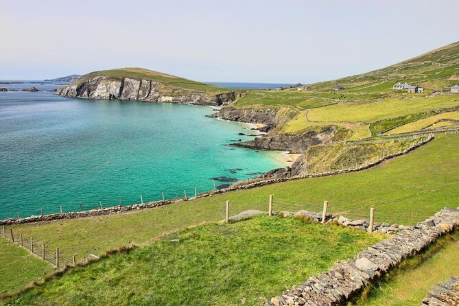 Dolphin & Whale Watching (4hrs) Blasket Island Landing (3hrs) - Whats Included