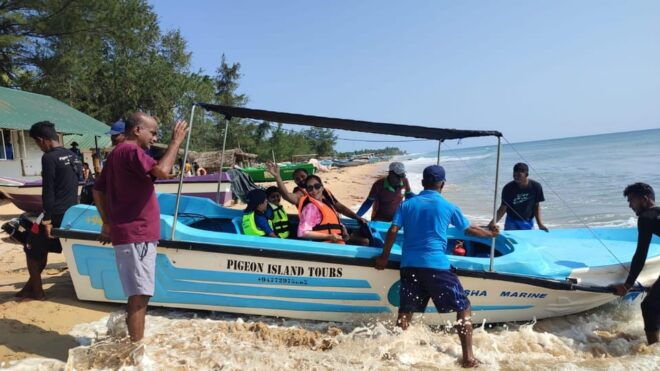 Dolphin & Whale Watching East Coast - Inclusions and Exclusions