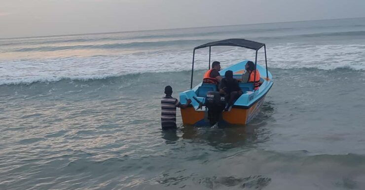 Dolphin & Whale Watching Reservations Advance - Pricing Details