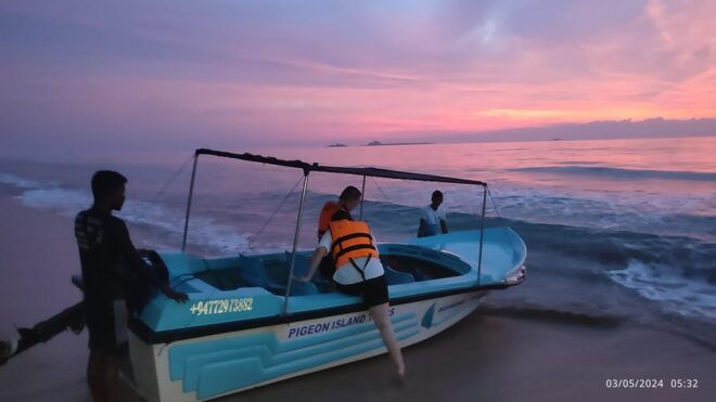 Dolphin & Whale Watching Reservations Advance - Experience Highlights