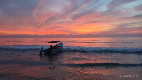 Dolphin & Whale Watching Reservations Advance - What to Bring