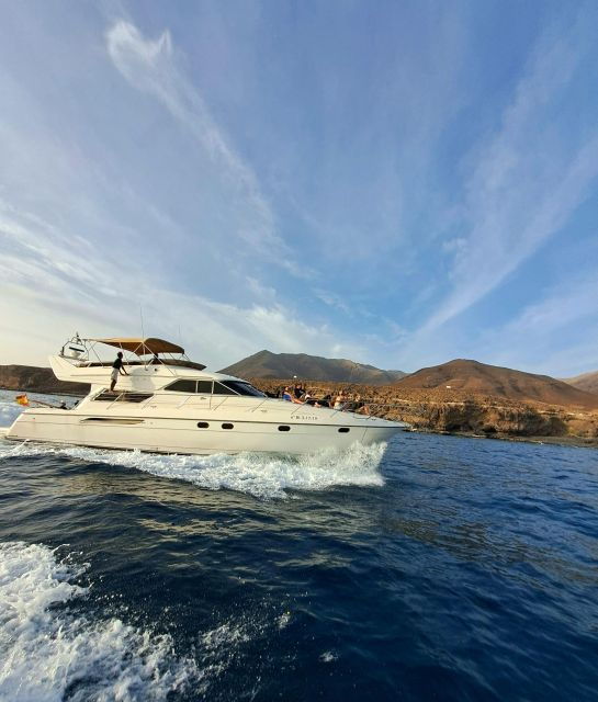 Dolphin & Whale Watching With Luxury Yacht - Booking Information