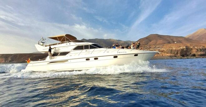 Dolphin & Whale Watching With Luxury Yacht - Experience Description