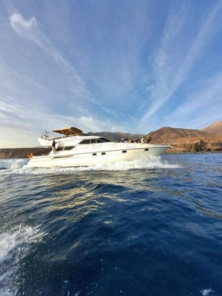 Dolphin & Whale Watching With Luxury Yacht - Price and Duration