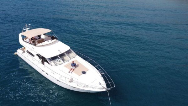 Dolphin & Whale Watching With Luxury Yacht - Frequently Asked Questions