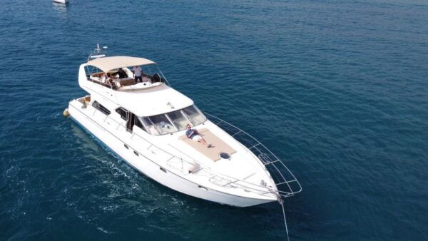 Dolphin & Whale Watching With Luxury Yacht - The Sum Up