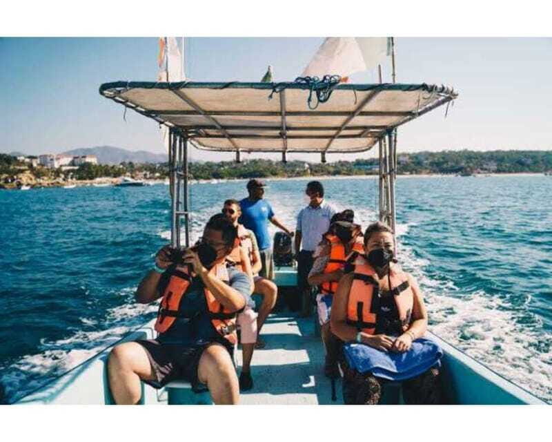 Dolphins and whales watching in Puerto Escondido. - What to Expect from the Dolphin and Whale Tour  