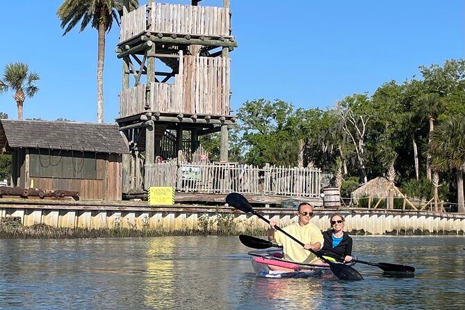 Dolphins and Wildlife Ecotour - In-Depth Look at the Dolphins and Wildlife Ecotour