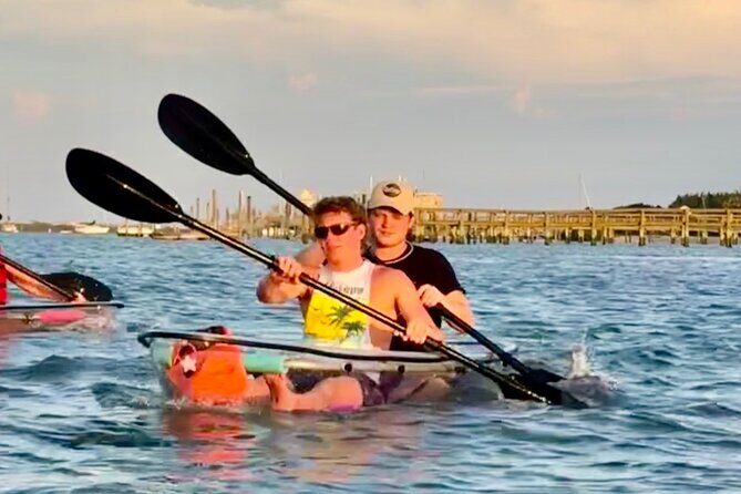 Dolphins and Wildlife Ecotour - FAQ