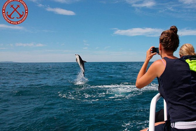 Dolphins Watching in the National Park Brijuni From Pula - Tour Details