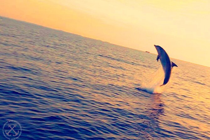 Dolphins Watching in the National Park Brijuni From Pula - Directions