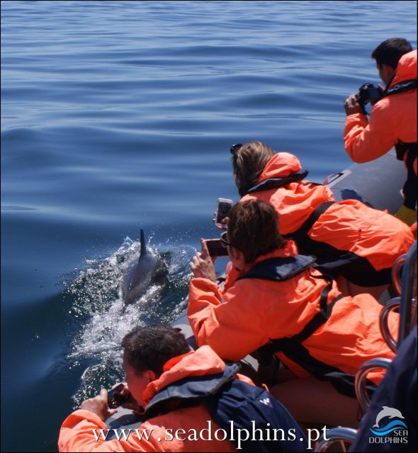 Dolphins Watching - Portimão - Duration and Languages