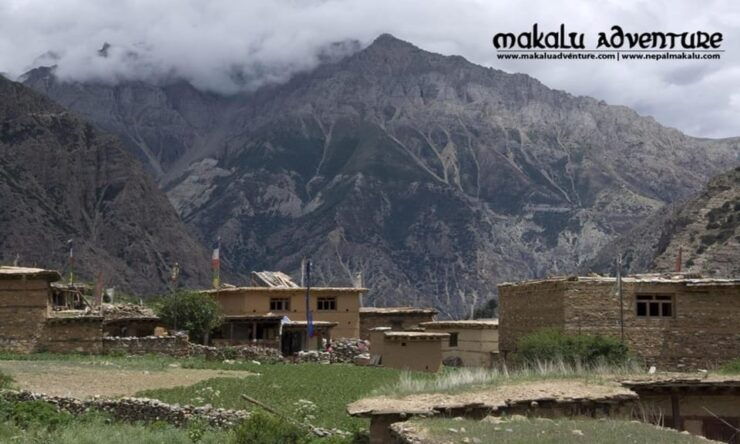 Dolpo Trek: Taking in Local Traditions and Customs - Cultural Encounters Along the Trail