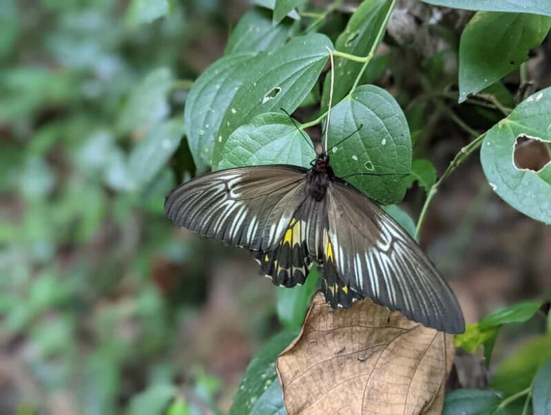 Dolukanda Hiking Adventure  Healing Rock of Aristhana - The Sum Up