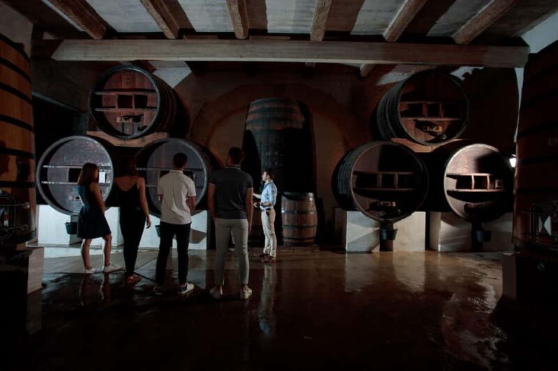 Domaine de Soustres, Montady : Visit and Tasting - Exploring the Experience: What to Expect from Start to Finish